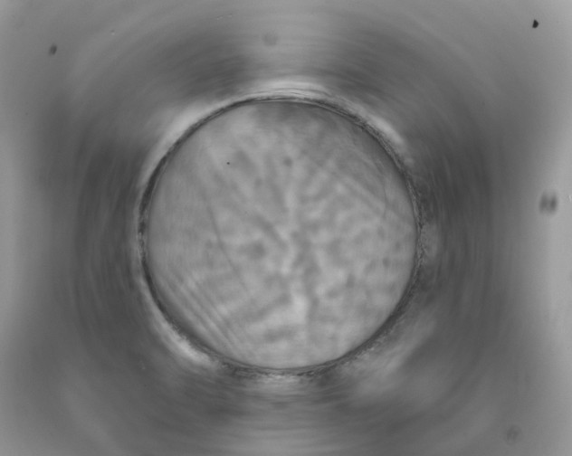 X0000091461470200709061746