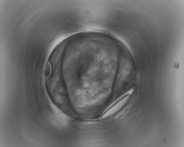 X0000091461471200709061746