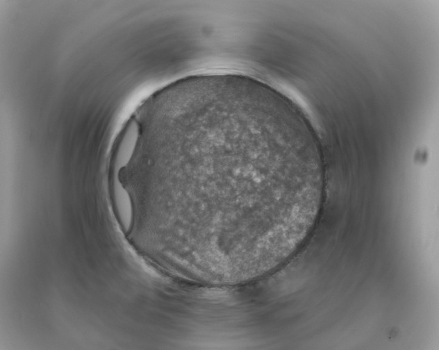 X0000091461472200709061746