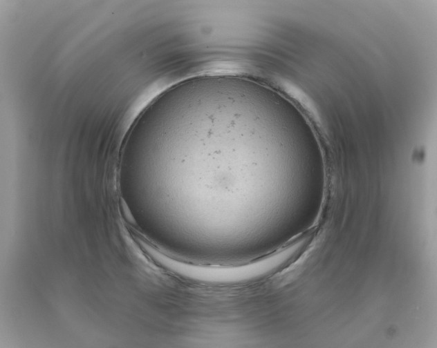 X0000091461473200709061746