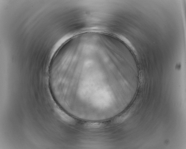 X0000091461474200709061746