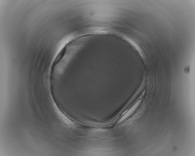 X0000091461475200709061746