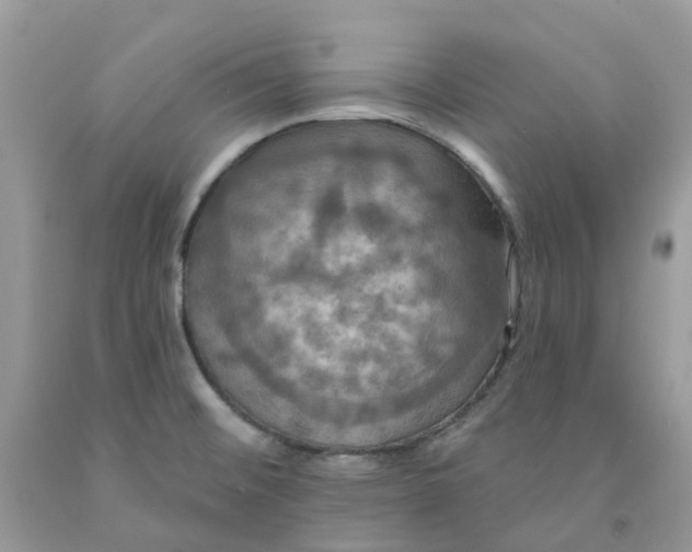 X0000091461476200709061746