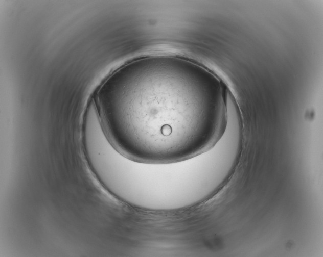 X0000091461477200709061746