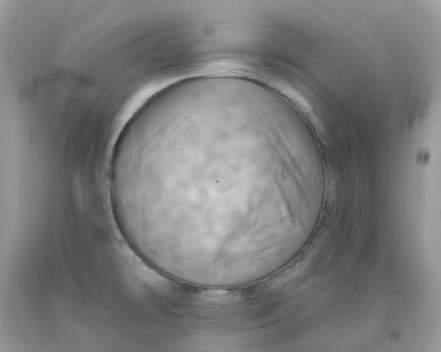 X0000091461478200709061746