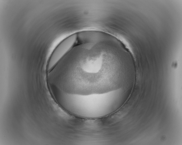 X0000091461480200709061746