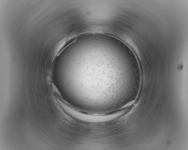 X0000091461481200709061746