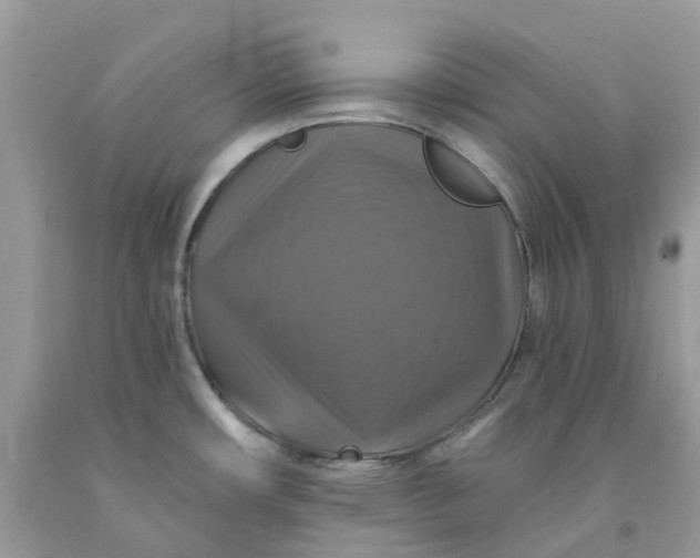 X0000091461482200709061746