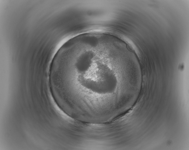 X0000091461483200709061746