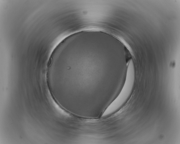 X0000091461484200709061746