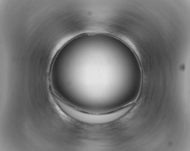 X0000091461485200709061746