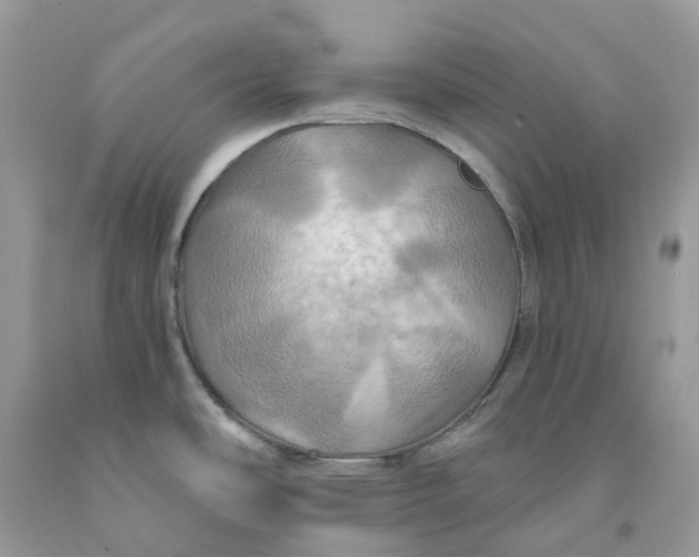 X0000091461486200709061746