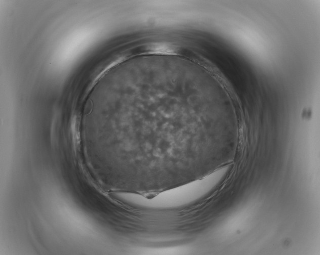 X0000091461487200709061746