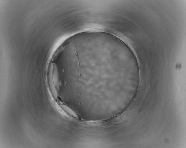 X0000091461488200709061746