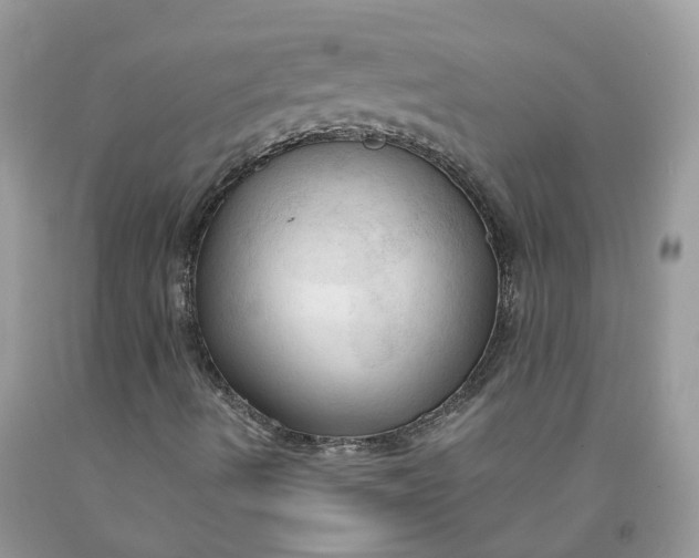 X0000091461490200709061745