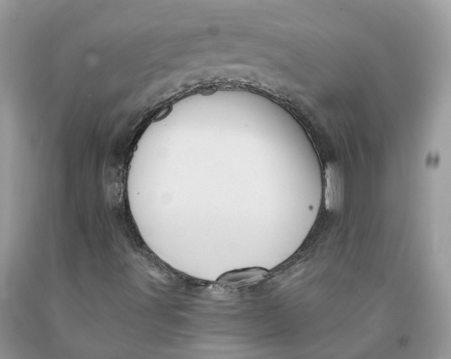 X0000091461491200709061745