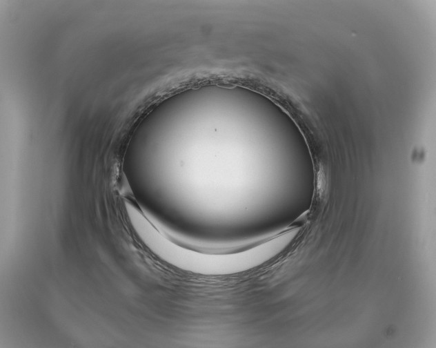 X0000091461492200709061745