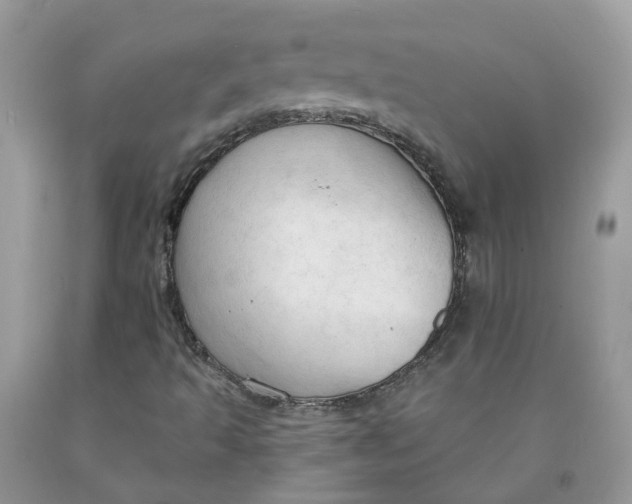 X0000091461493200709061745