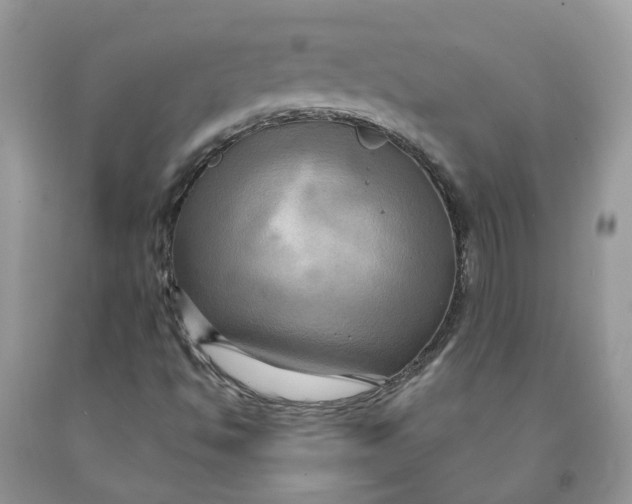 X0000091461494200709061745