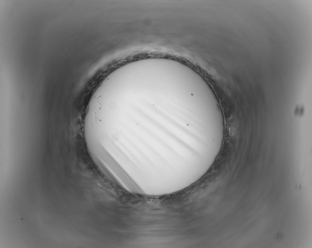 X0000091461495200709061745