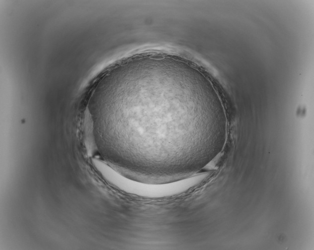 X0000091461496200709061745