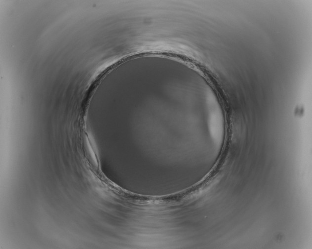 X0000091461497200709061745