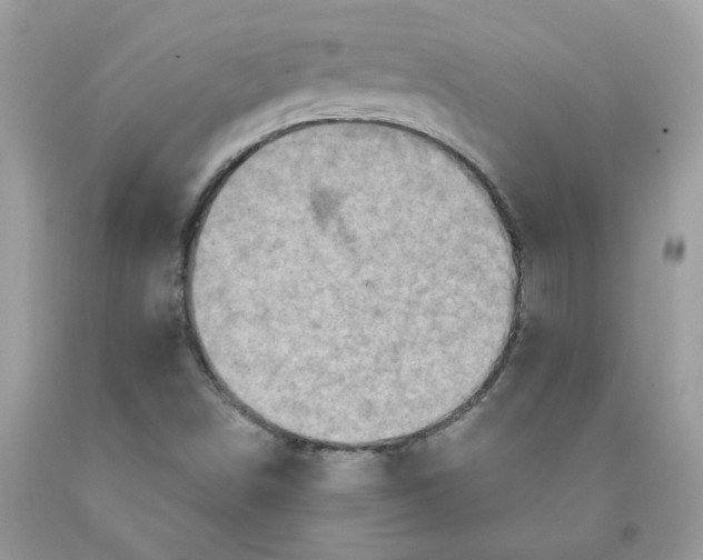 X0000091461498200709061745