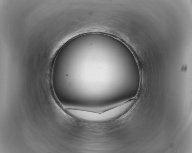 X0000091461500200709061745