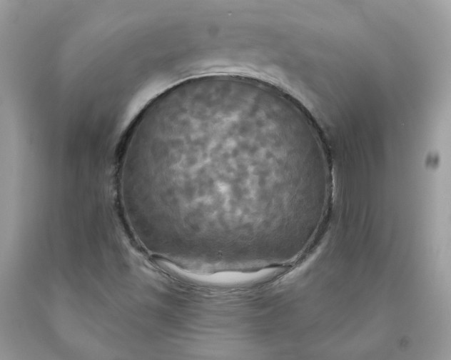 X0000091461501200709061745