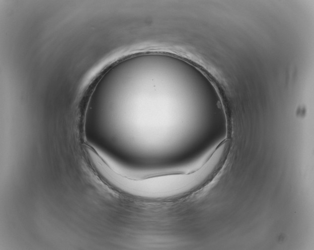 X0000091461502200709061745