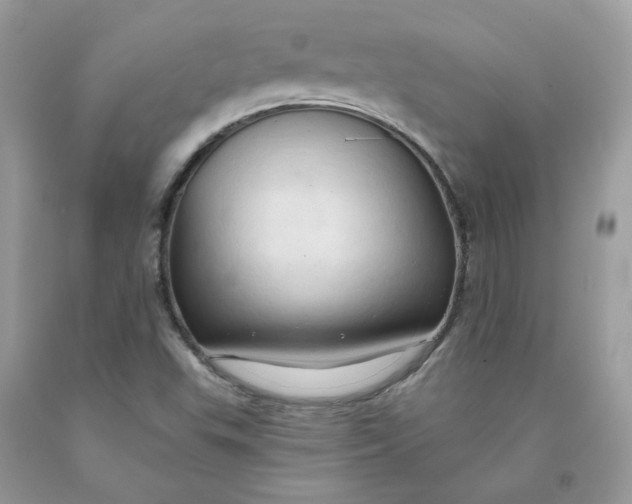 X0000091461503200709061745