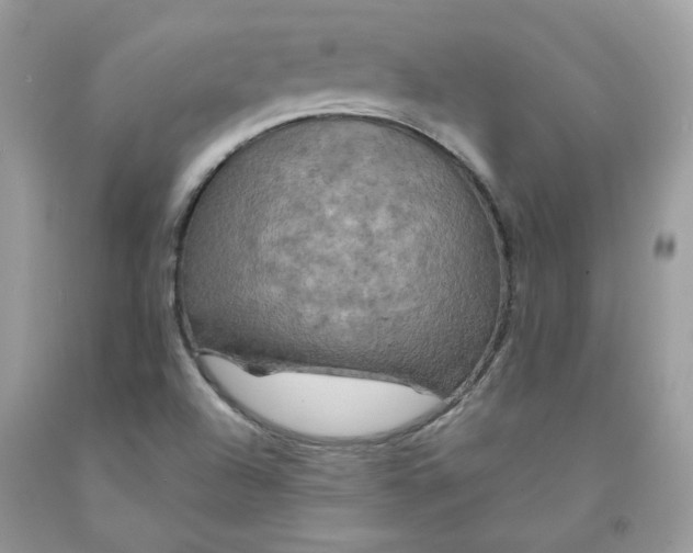 X0000091461504200709061745
