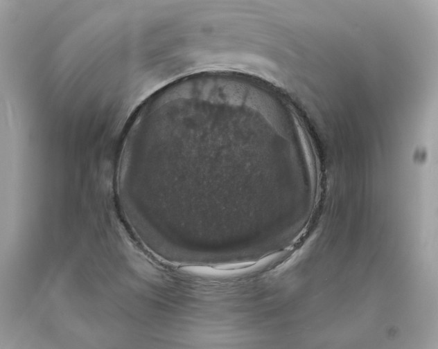 X0000091461505200709061745