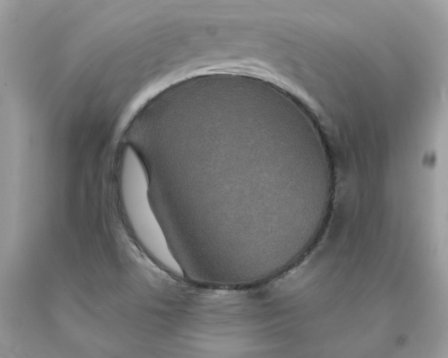 X0000091461506200709061745