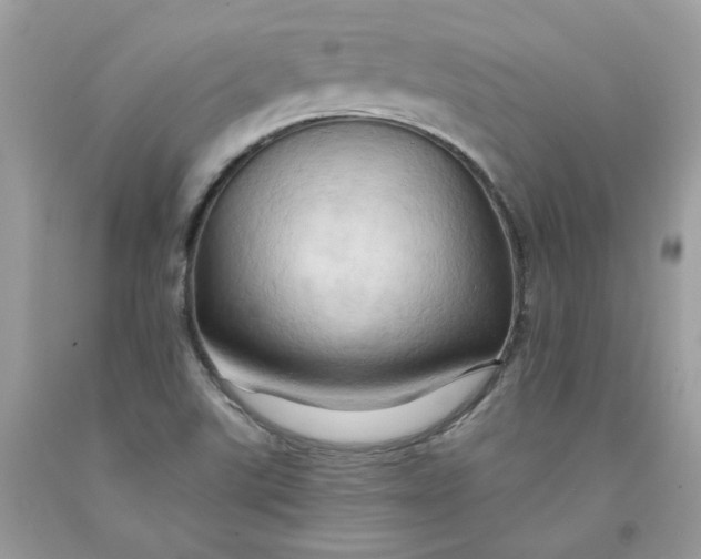 X0000091461507200709061745