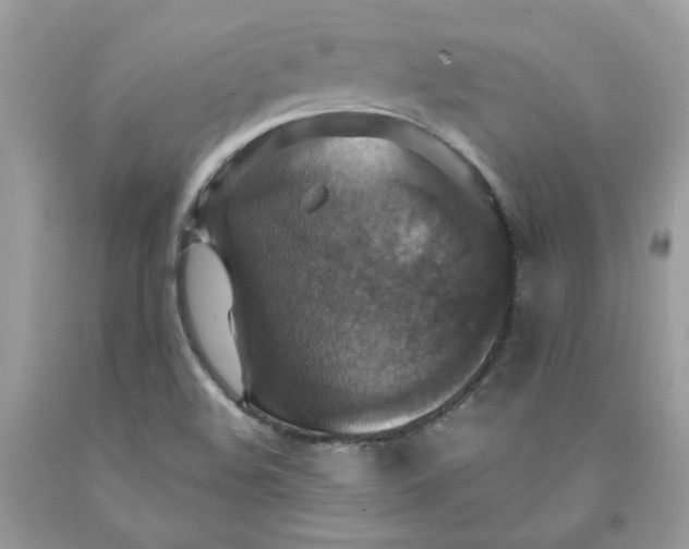 X0000091461508200709061745