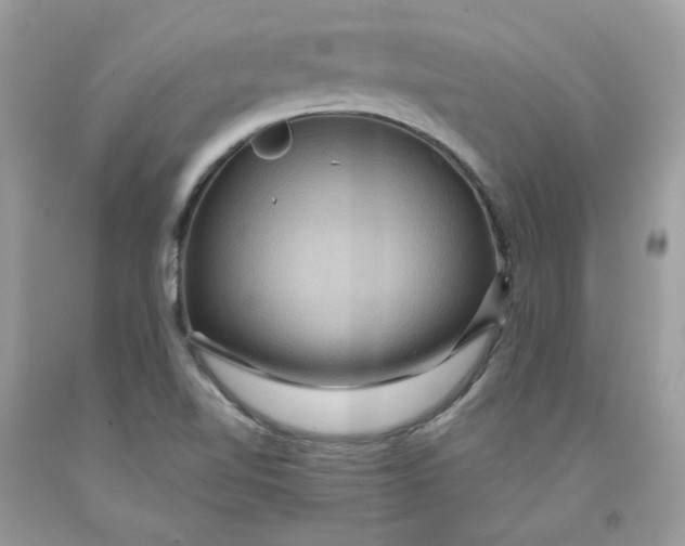 X0000091461510200709061745