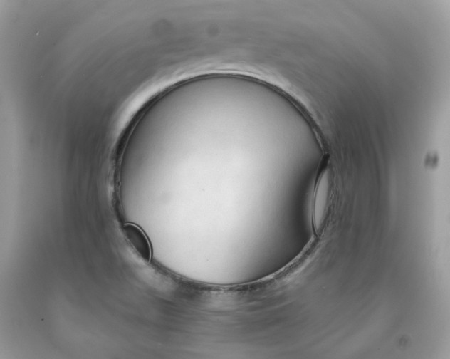 X0000091461511200709061745