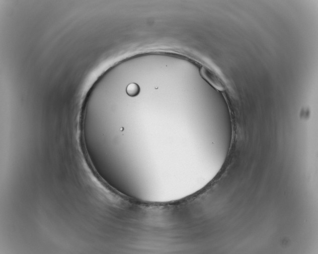 X0000091461512200709061745