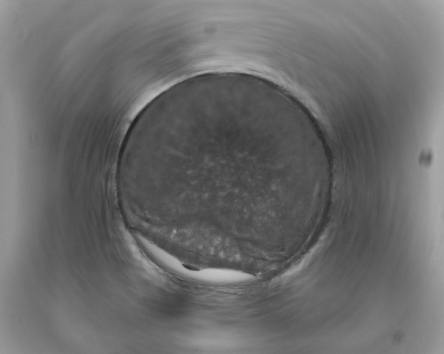 X0000091461513200709061745