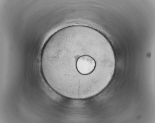 X0000091461514200709061745