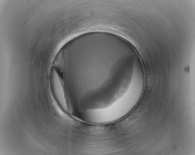 X0000091461515200709061745