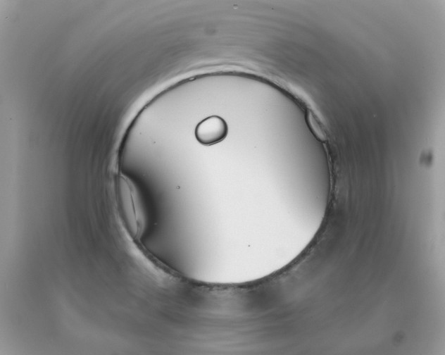 X0000091461516200709061745