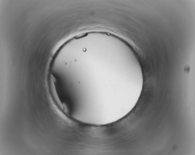 X0000091461518200709061745