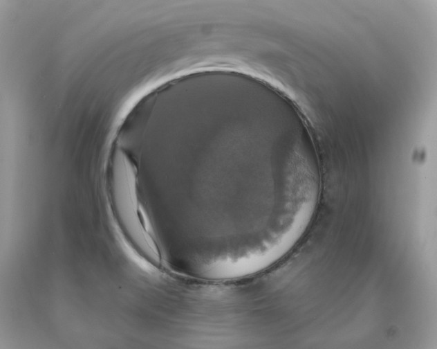 X0000091461519200709061745