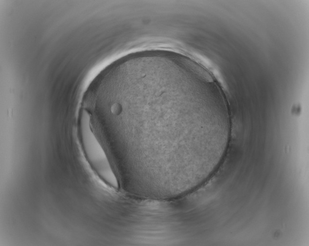 X0000091461520200709061745