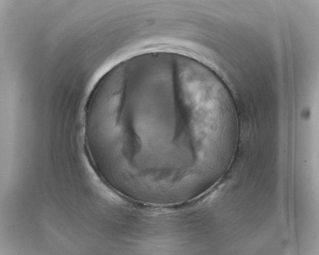 X0000091461522200709061745