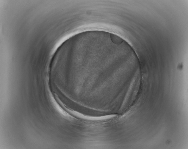 X0000091461523200709061745