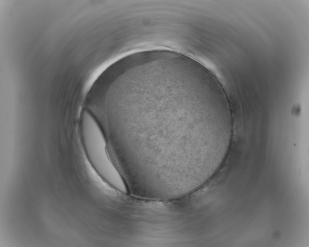 X0000091461524200709061745