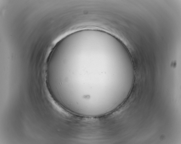 X0000091461526200709061745